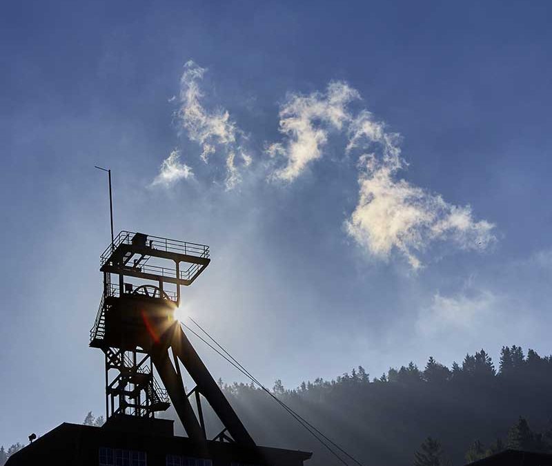 Positionspapier Wirtschaft
